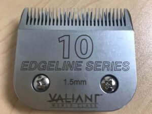 Valiant Edge Line No. 10
