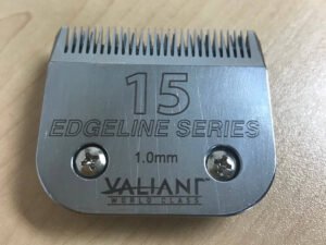 Valiant Edge Line No. 15