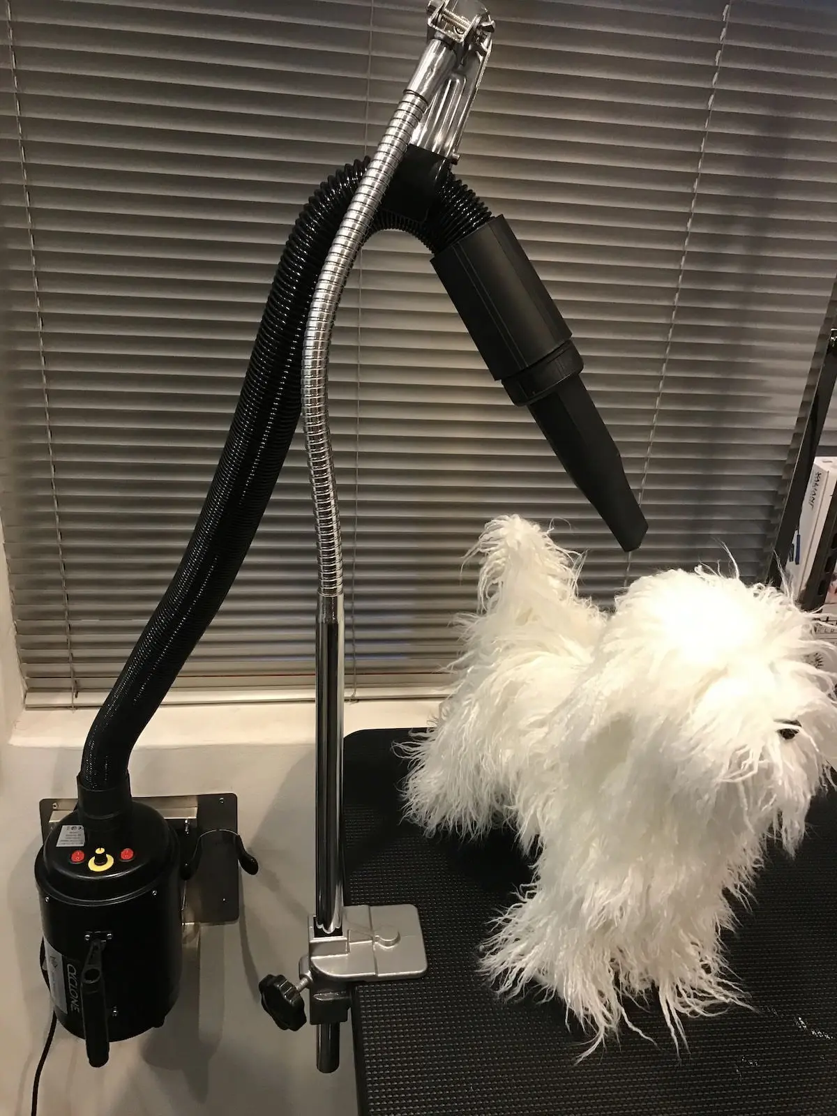 SUPER CYCLONE Dog Dryer - Black - Image 2