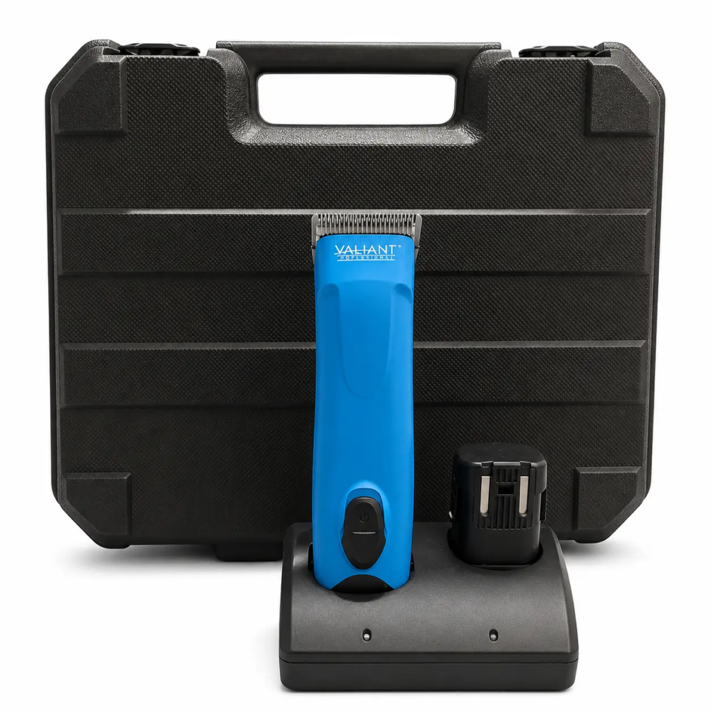 valiant-cordless-1-speed-blue